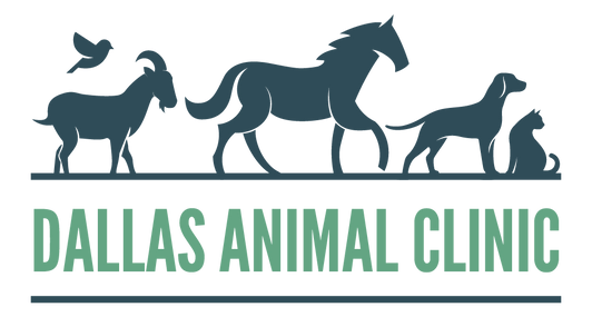 Dallas Animal Clinic Logo